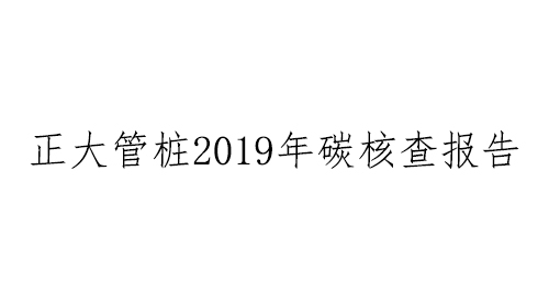 浙江正大管桩有限公司2019年碳核查报告