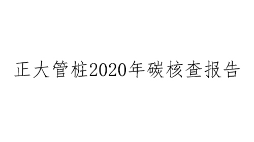 浙江正大管桩有限公司2020年碳核查报告