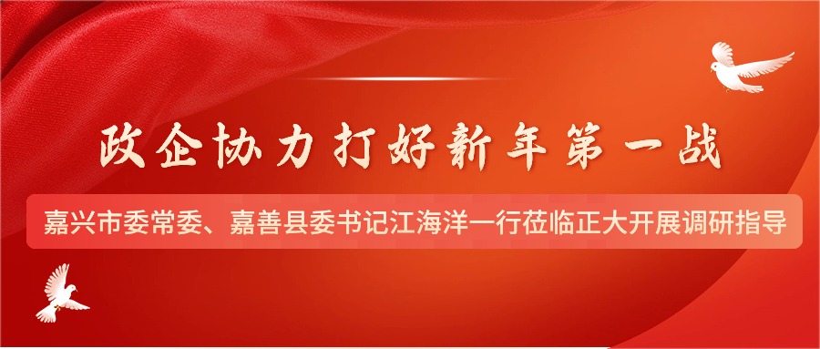 政企协力打好新年第一战丨嘉兴市委常委、嘉善县委书记江海洋一行莅临正大开展调研指导